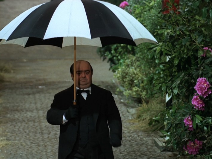 Butler with umbrella