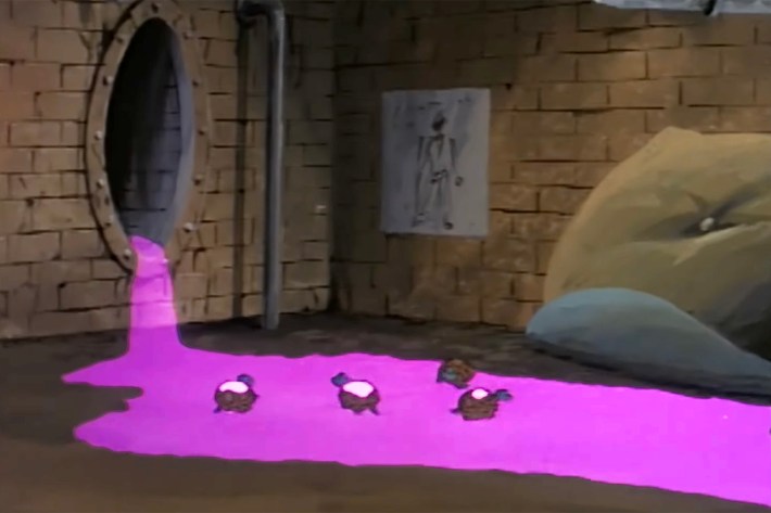 Baby turtles in ooze