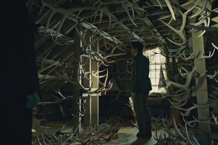 Will in antler room