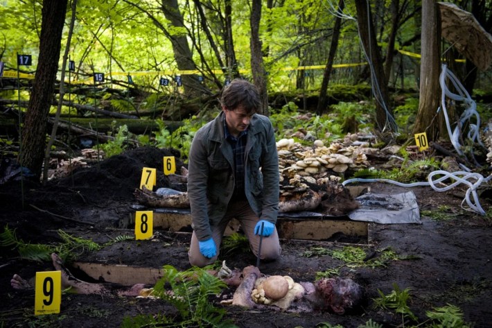 Will with mushroom corpse