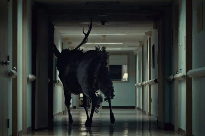 Stag