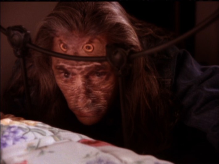 Bob with owl superimposed over face