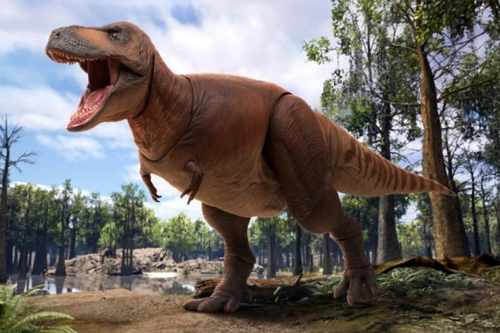 Cameron the T Rex