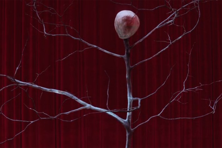 Tree with viscera