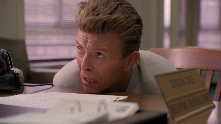 Bowie looking up from desk